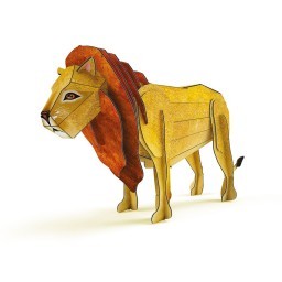 Coffret Le lion 3D