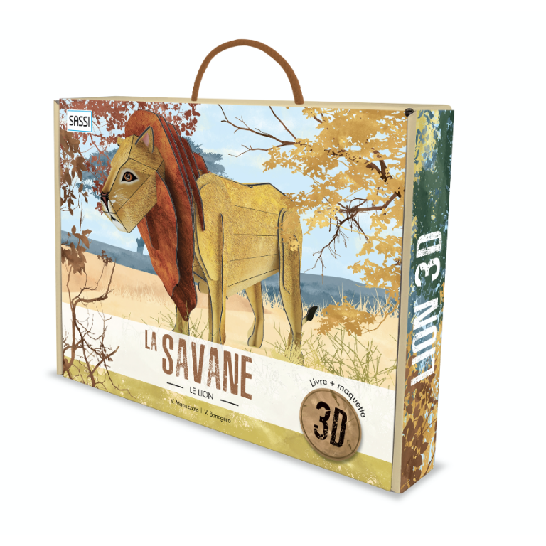 Coffret Le lion 3D