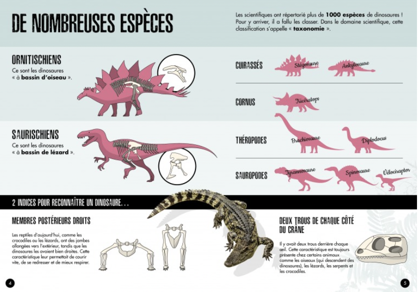 Le Tricératops - L'ère des dinosaures