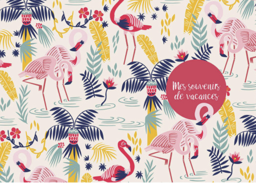 Mon carnet secret - Paula Mc Gloin