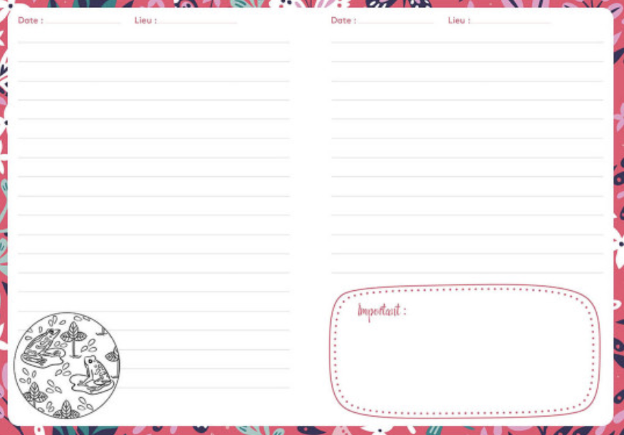 Mon carnet secret - Paula Mc Gloin