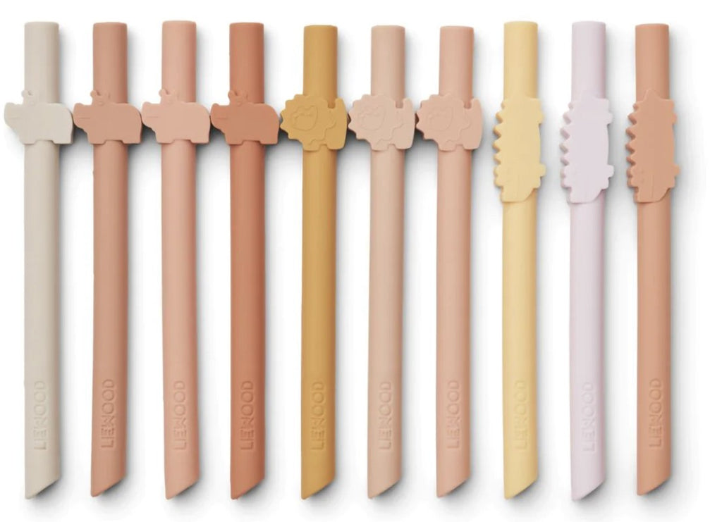 Pailles silicones réutilisables - Rose safary