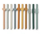 Pailles silicones réutilisables - mustard mix