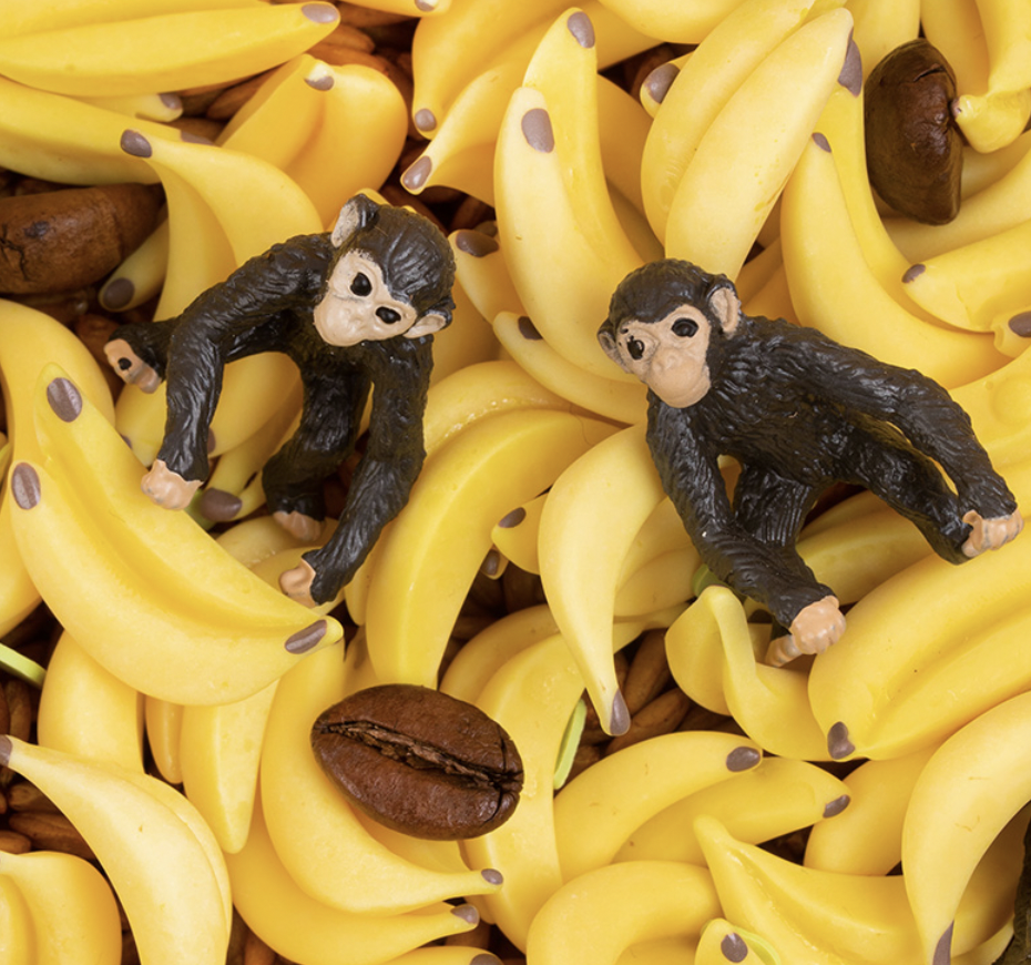 Bouteille sensorielle - SOUND - Monkey