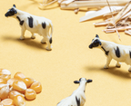 Bouteille sensorielle - SPY - Farm