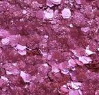 Paillettes - Turfuchsia
