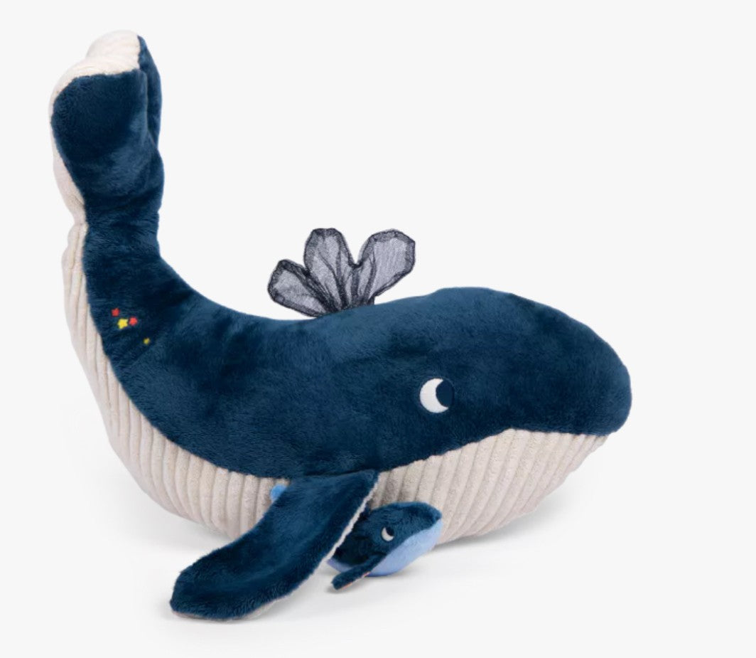Grande baleine d’activités- Les aventures de Paulie