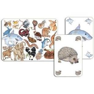 Jeu de cartes - Zanimatch