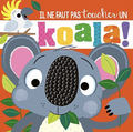 Il ne faut pas toucher - Koala