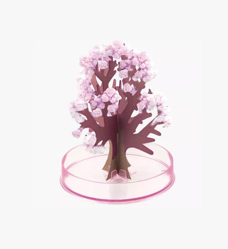 L’arbre magique-Les petites merveilles
