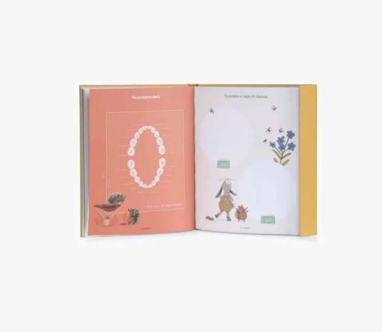 Livre naissance - Trois petits lapins
