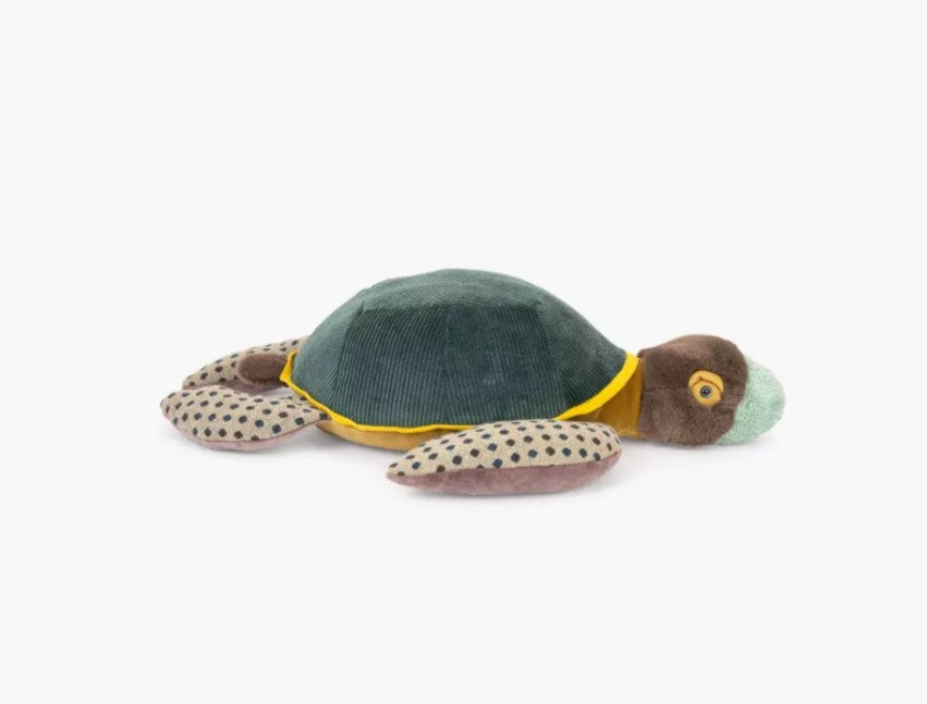 Grande tortue- Tout autour du monde
