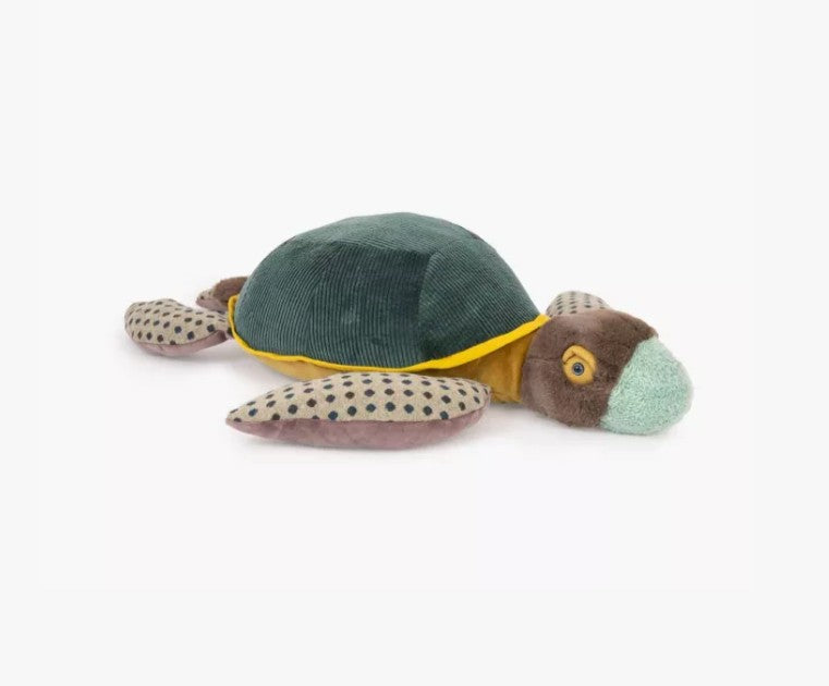 Grande tortue- Tout autour du monde