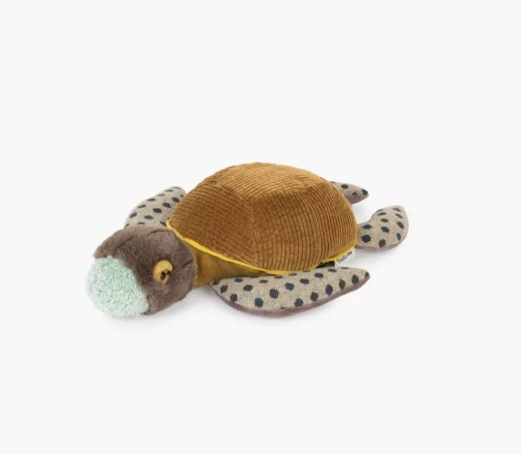 Petite tortue-Tout autour du monde
