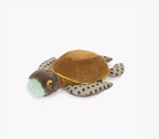 Petite tortue-Tout autour du monde