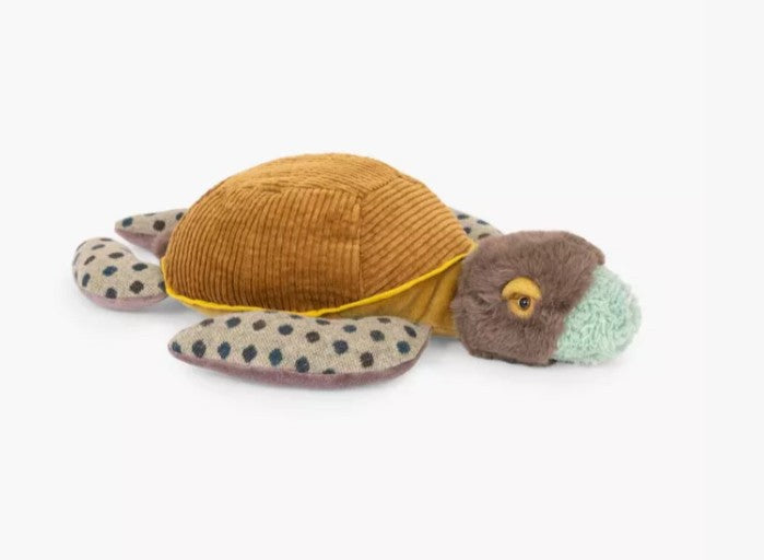 Petite tortue-Tout autour du monde