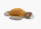 Petite tortue-Tout autour du monde