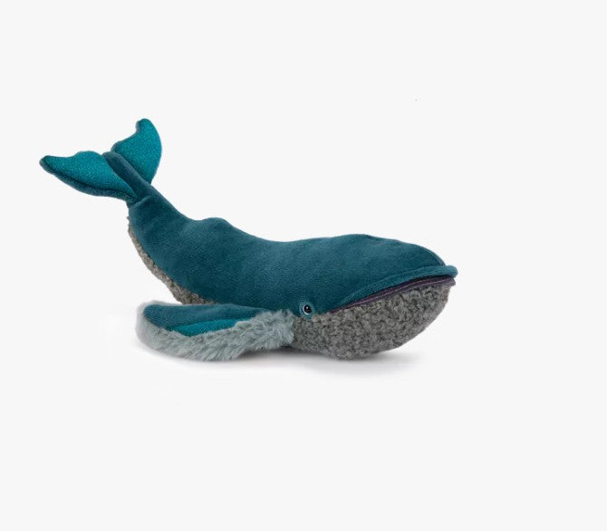 Petite baleine à bosse- Tout autour du monde