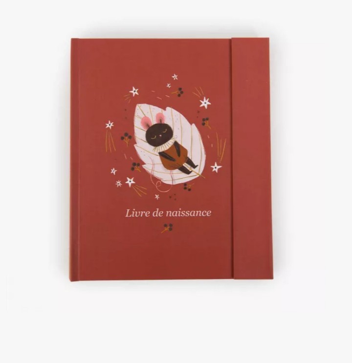 Livre naissance - Après la pluie