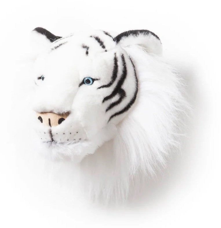 Trophée Tigre Blanc Albert