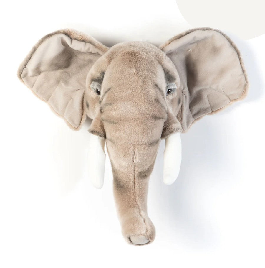 Trophée Elephant - George