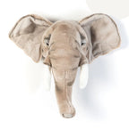Trophée Elephant - George