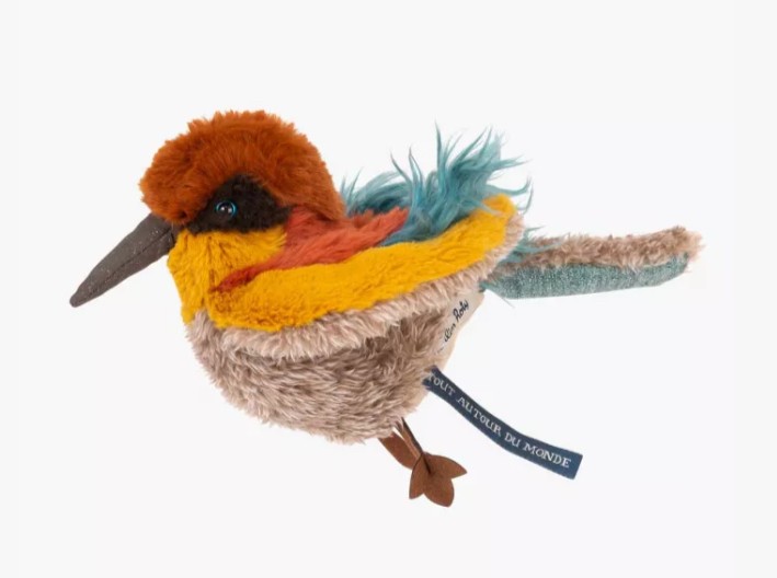 Oiseau guêpier - Tout autour du monde