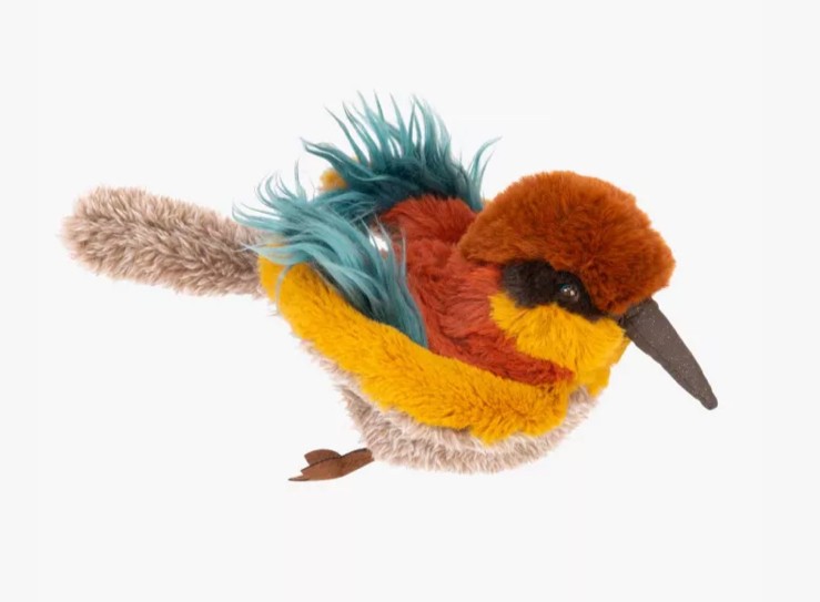 Oiseau guêpier - Tout autour du monde