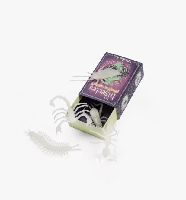 5 insectes phosphorescents - Les petites merveilles