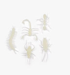 5 insectes phosphorescents - Les petites merveilles