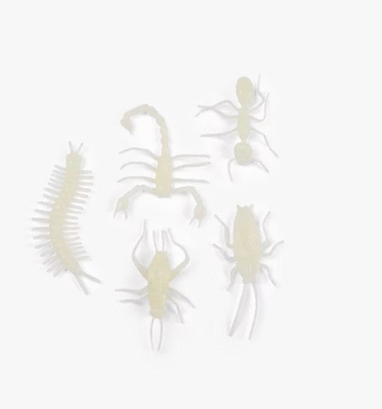 5 insectes phosphorescents - Les petites merveilles