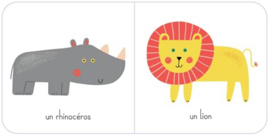 Ma boîte à trésors - Les animaux