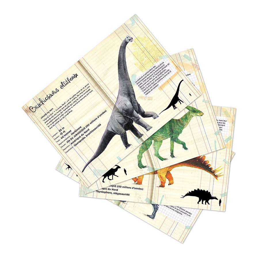 Puzzle dinosaures 500 pièces - Muséum d’histoire naturelle