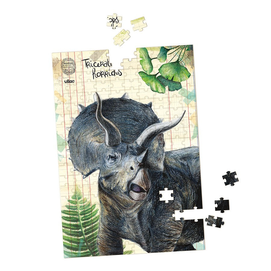Coffret 3 puzzles dinosaures + poster Muséum national d’Histoire naturelle