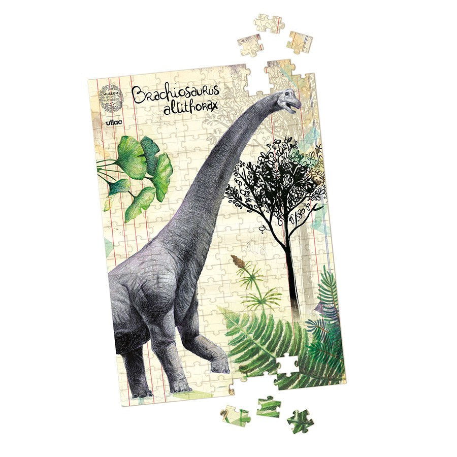 Coffret 3 puzzles dinosaures + poster Muséum national d’Histoire naturelle