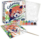 Colorizzy - Panda roux & Shiba