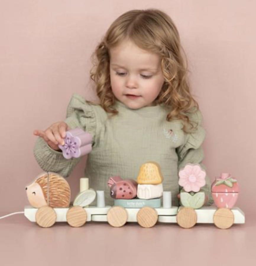 Train à blocs Hérisson - Fairy garden