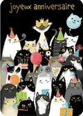 Carte - Photo matous joyeux anniversaire