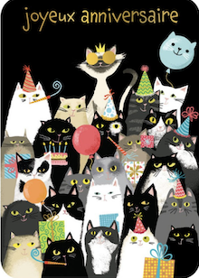 Carte - Photo matous joyeux anniversaire