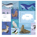 Des flaps et des sons - 101 mots - Animaux