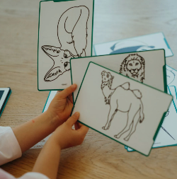 Mini tablette Kidydraw- Animaux autour du monde