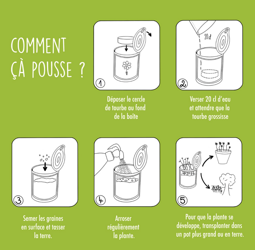 Kit à semer - Merci Maîtresse