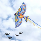 Cerf-volant - Maxi Bird