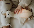 Peluche Lumineuse - Oie