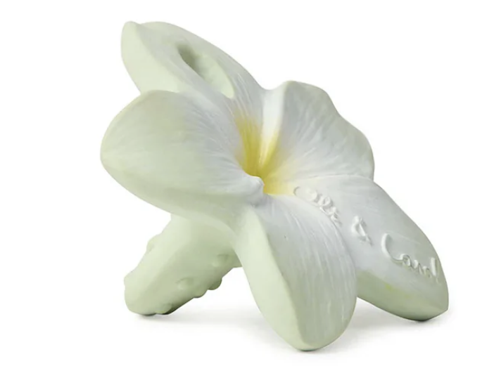 Anneau de dentition - Bali the Flower