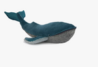 Grande baleine à bosse - Tout autour du monde