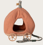 Carrosse citrouille, Souris