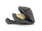 Peluche - Michelle Mussel moule