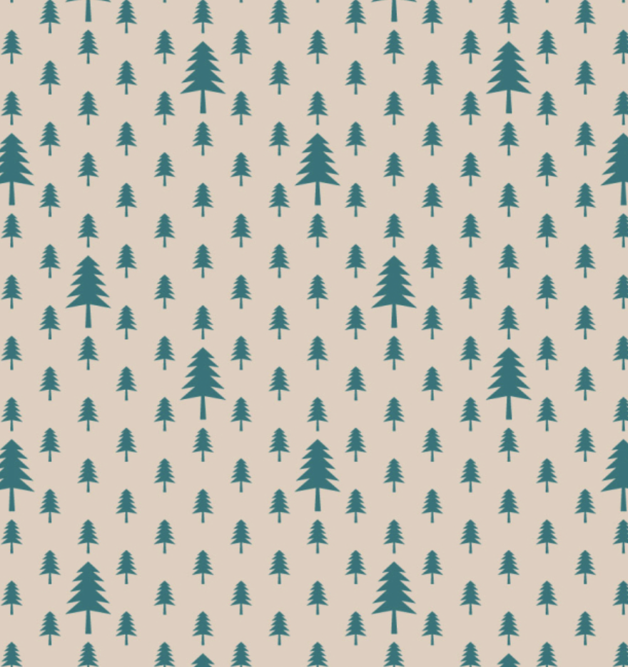 Rouleaux papiers cadeaux 70 cm X 3 m - Noël