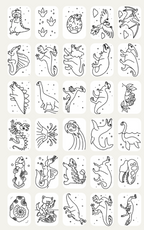 Recharges Kidydraw - Galaxie et Dinosaures